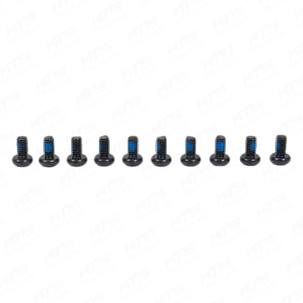 9c7cb9a759a9f53529f6cfd145b759dc.jpeg Segway Hexagonal Disc Head Anti-theft Screw_M4*8